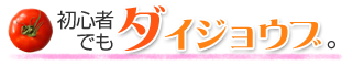 初心者でもダイジョウブ
